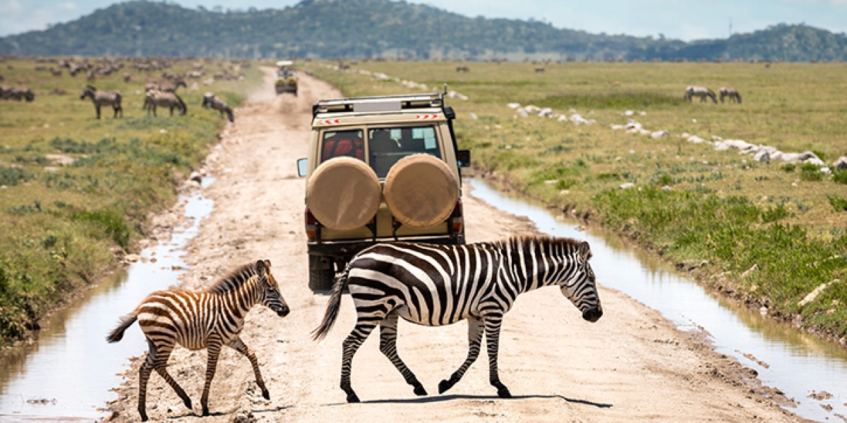safari tanzania na watu wote