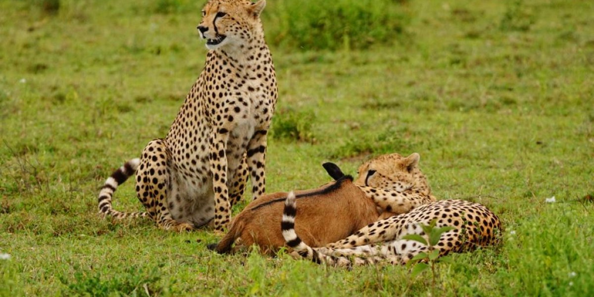 safari tanzania na watu wote mimi